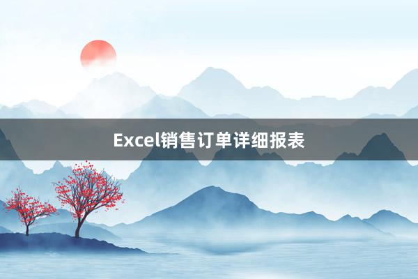 Excel销售订单详细报表